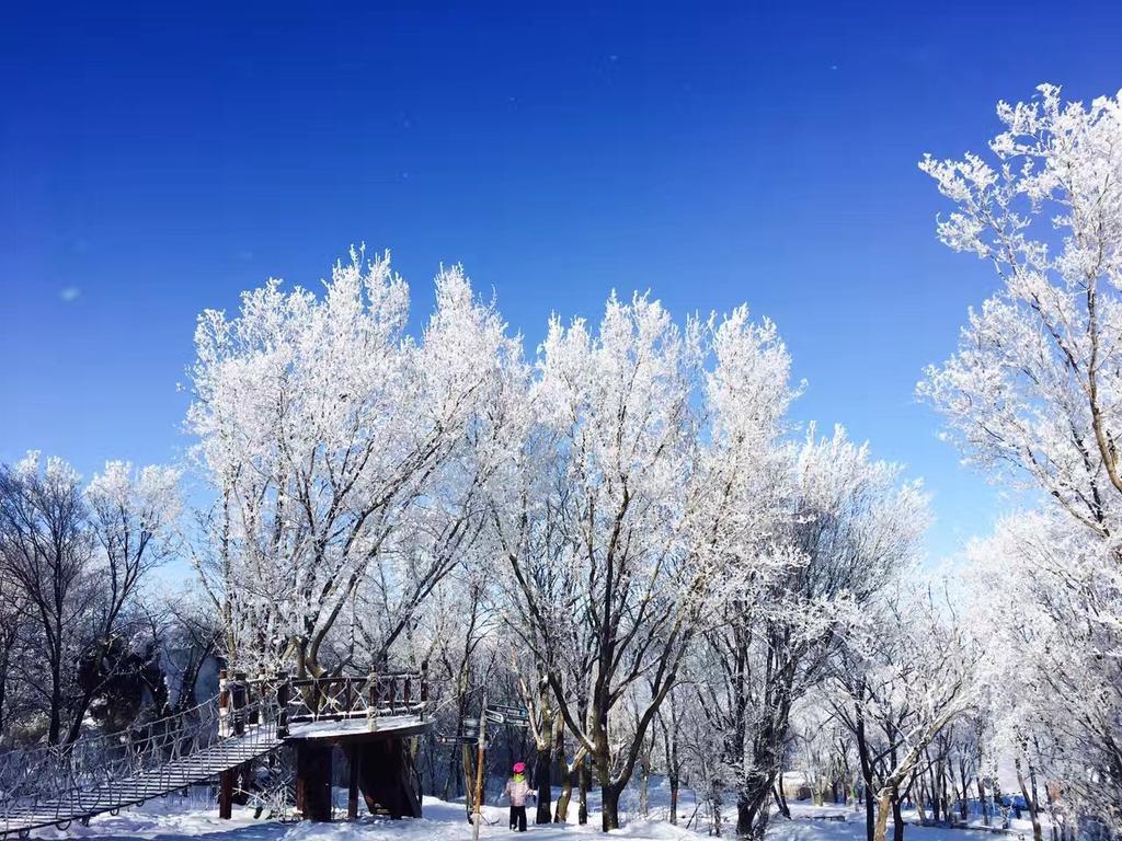 Songhua Lake Qingshan Snow View Apartment Jilin ภายนอก รูปภาพ